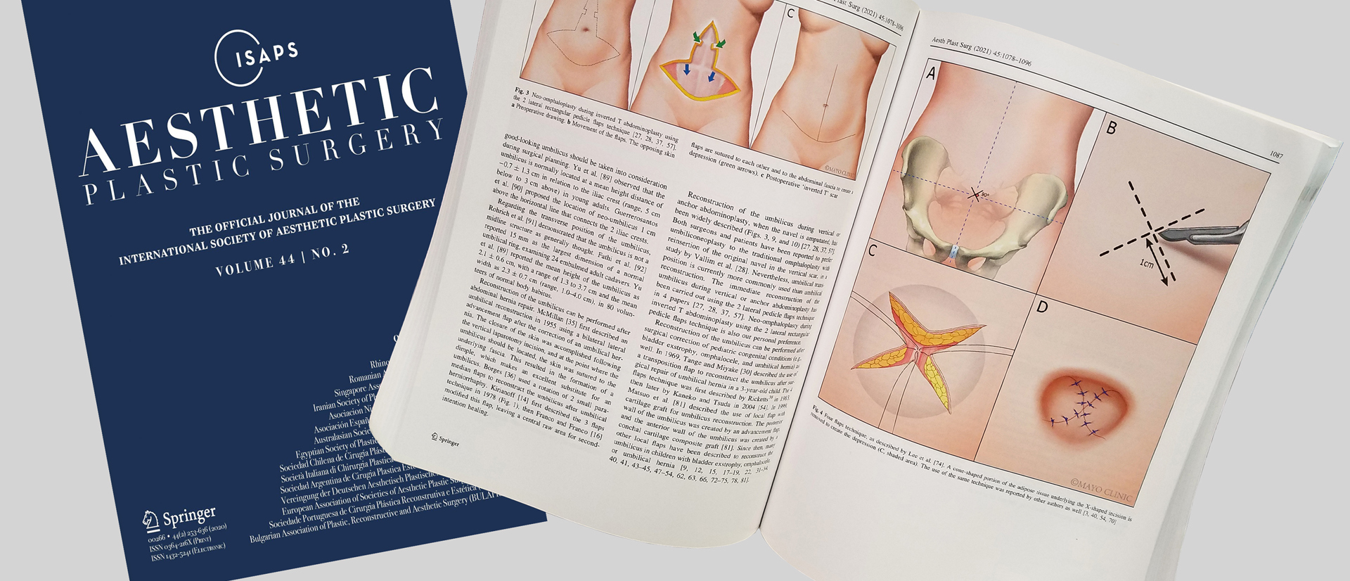 Aesthetic Plastic Surgery Journal