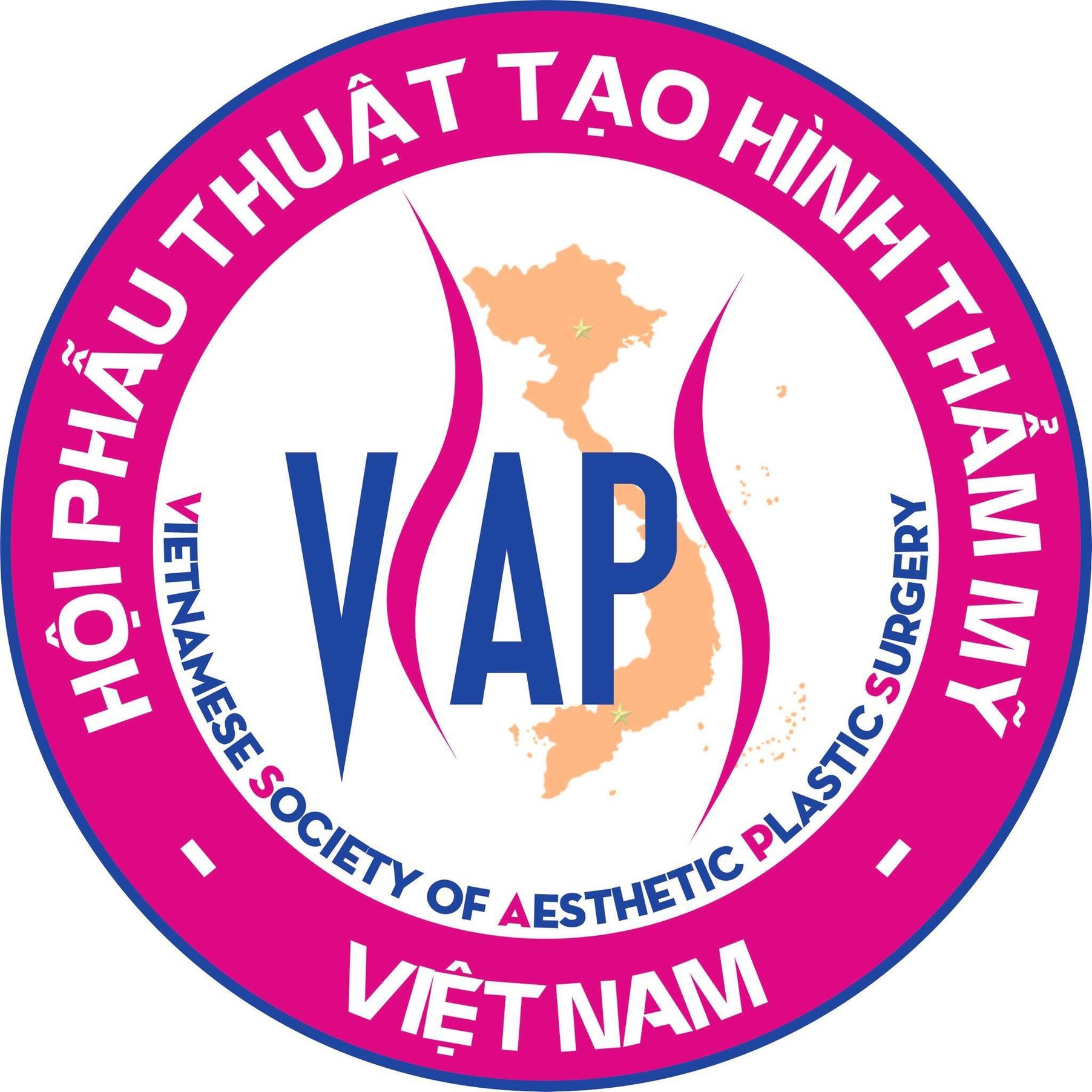 Vietnamese Society of Aesthetic and Plastic Surgery (VSAPS)